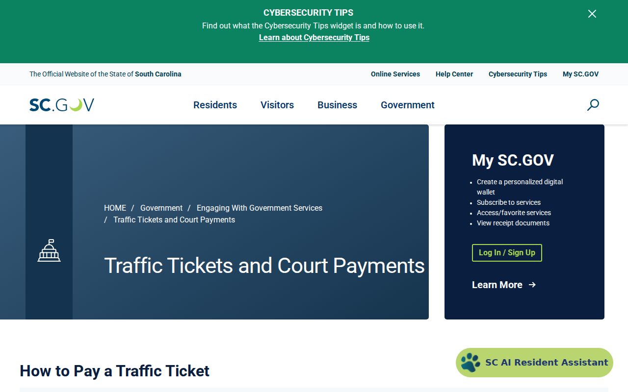 Berkeley County traffic warrant page showing official state Locate Case payment flow